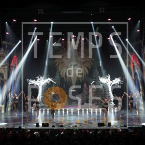 041_Aureline Classique demi-pointes et pointes