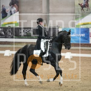 WinHorses'Willem Normandi