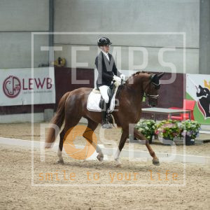 Bombay Krack vh Klaverhof