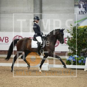 T Adore van T Waterheidehof