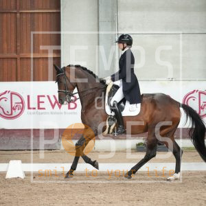 My dream vh Aegroschot