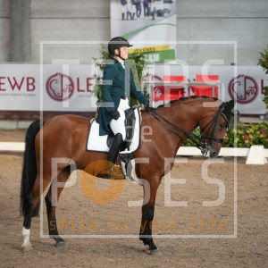 Obi van de Litzemaere