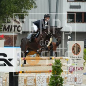 Alldiamond cityhorse Z