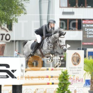 Carpegenia van het Lindenhof Z