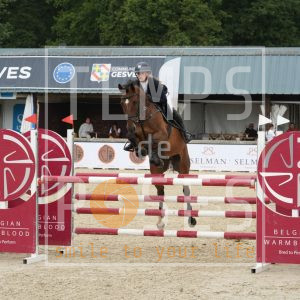 Sunshine van spalbeek Z