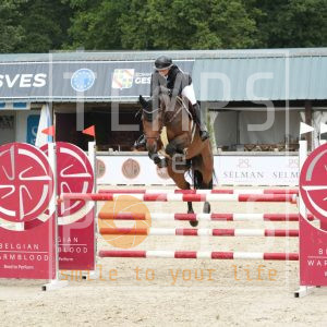 Colando van de hoeve Z
