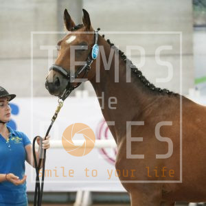 Colombiana TC by classicZ