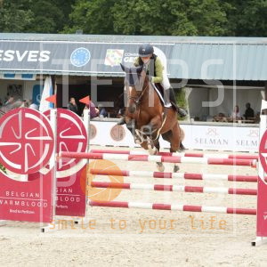 Uber van't Greesa SJ