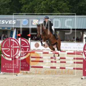 Ubatuba van den oude eik