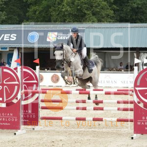 COLUMBIA DE POTEAU Z