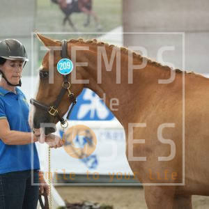 Clethra du résidelle Z