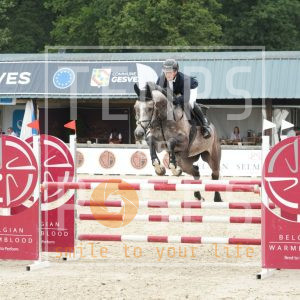 Lotje uit de loterij Z