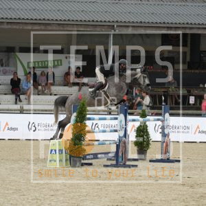 Heartbelle van T Roosakker Z