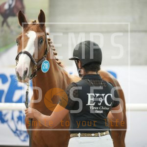 Hallystead whithe du vieux chêne