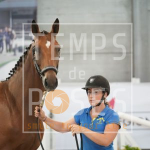 Aria star by Classic Z