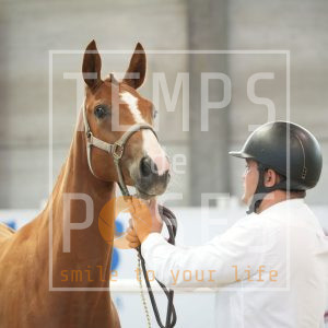 Arinka van 't klein holland