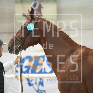 Emirates de vertbois Z