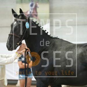 Blackpearl fée des sources Lj Z