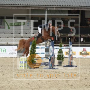 Tropical Van 't Hoogeinde