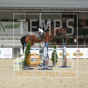 Nelson van de Molen Z