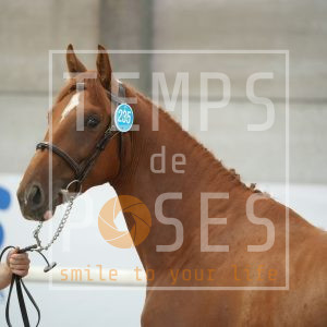 Riversaltes du rezidal