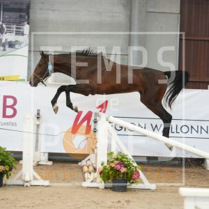 Denver VH Kapelhof Z