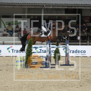 Tijuana van de Reynaert