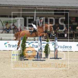 Desperado Van Schuttershof Z