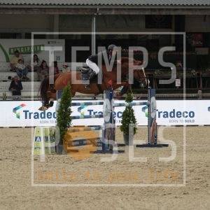 T-Otis van het Wilderhof