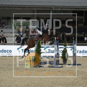 Timeless D. Van de Bruekauter