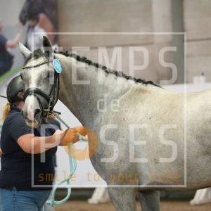 Capucine du petit geer Z