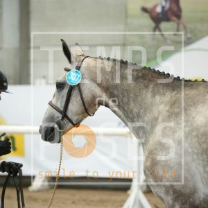 Versa Chin de Saulieu