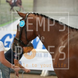 Cristale des3 Muses Z