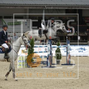 Nyro van het Eusselhof z