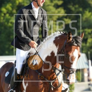 Dancing Arthur 1 De Rock Z