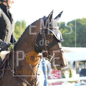 DYNAMITE DU DIEU D'ARRAS Z