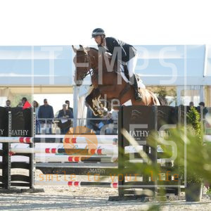 Posséidon du saint-chêne Z