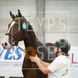 Qualoubet di tit'horse