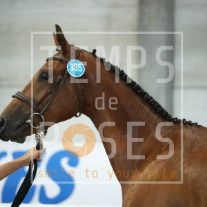 wild sol van't edenhof