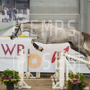 Conthalou Heldenlaan Z