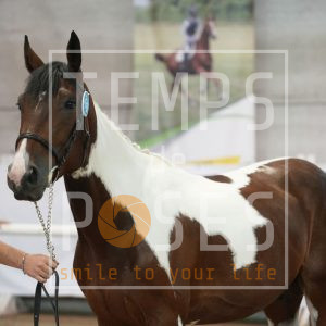 Monzup J du petruis Z