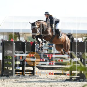 Quality Star 2020 DV Z