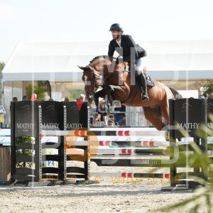 COPILOT DE LA MARCHETTE Z