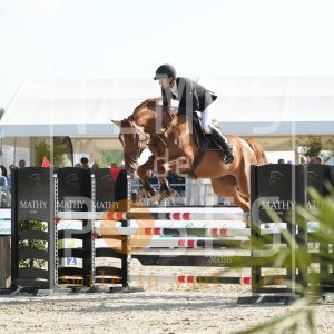 Vienna van het Netehof