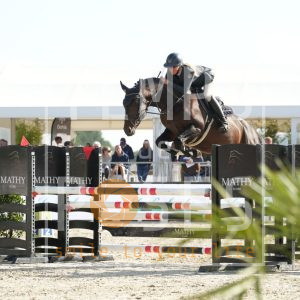 Dexx van t heideroosje Z