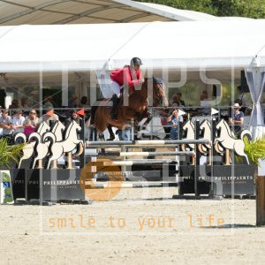 easy dream van't roosakker Z