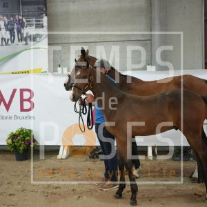 Don't touch boy du pansery Z