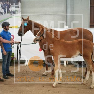 Tatoki GTW de Tinmont