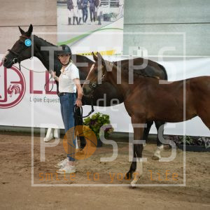 Pemba Angelo du baty