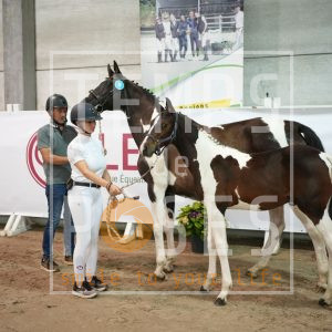 Dirty dancing de la hamente Z